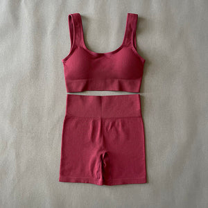 Ribbed Short And Bra Two Pieces - Pitaya Apparel